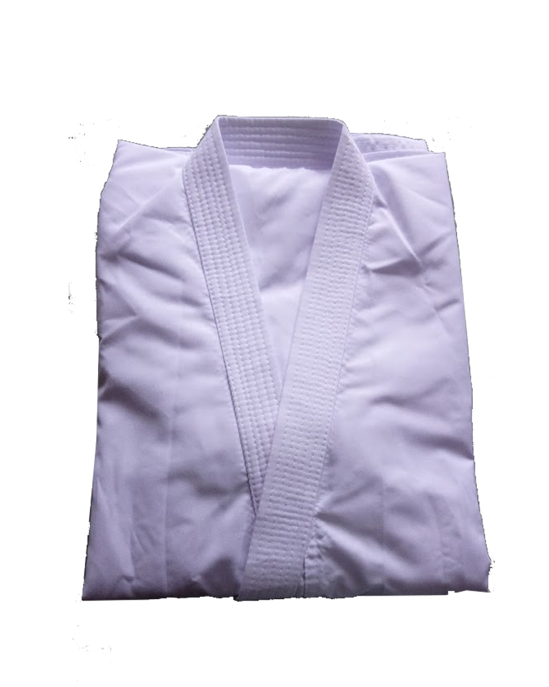 Başlıksız-4-Kurtarı2ldı Aikido Elbisesi Aikido Gi Beyaz Yazlık - Görsel 1