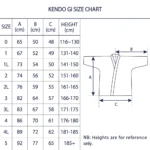 KENDO - Vixia - Polyester Kendo Gi (Tozando) - Görsel 9