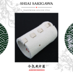 JP.4.17 Shinai Sakigawa